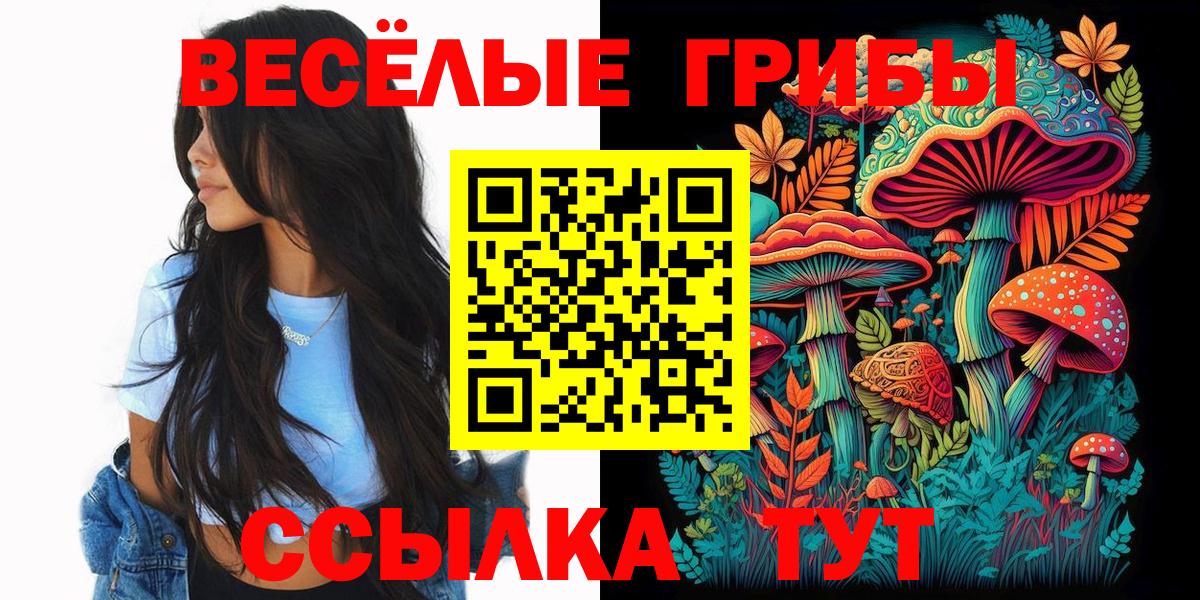 Галлюциногенные грибы мицелий  Вход с VPN  Симферополь 