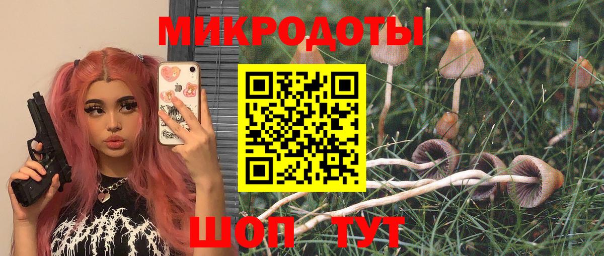 Псилоцибиновые грибы мицелий Симферополь